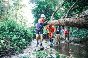 BIB: 
                            <button type="button" onclick="openModal(25432858)" class="btn btn-primary btn-sm float-right btn-popup" data-toggle="modal" data-target=".modal-high-quality">
                        <i class="fas fa-shopping-cart"></i> Add to Cart
                    </button>
                                            <button type="button" onclick="isThisMe(25432858, true)" class="btn btn-success btn-sm float-right btn-popup btn-isme hidden" data-toggle="tooltip" data-placement="bottom" title="นี่คือรูปของคุณใช่ไหม คลิกที่นี่เพื่อเอาเข้าอัลบั้ม">
                        <i class="fas fa-plus"></i> Add to album
                    </button>
                    <button type="button" onclick="isThisMe(25432858, false)" class="btn btn-warning btn-sm float-right btn-popup btn-isnotme hidden">
                        <i class="fas fa-ban"></i> Remove from album
                    </button>